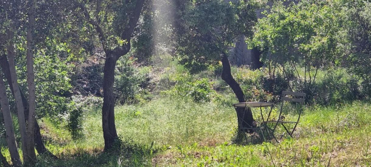 Aparthotel Les Bois De Zola Entre Provence Et Luberon Saint-Esteve-Janson Habitación foto